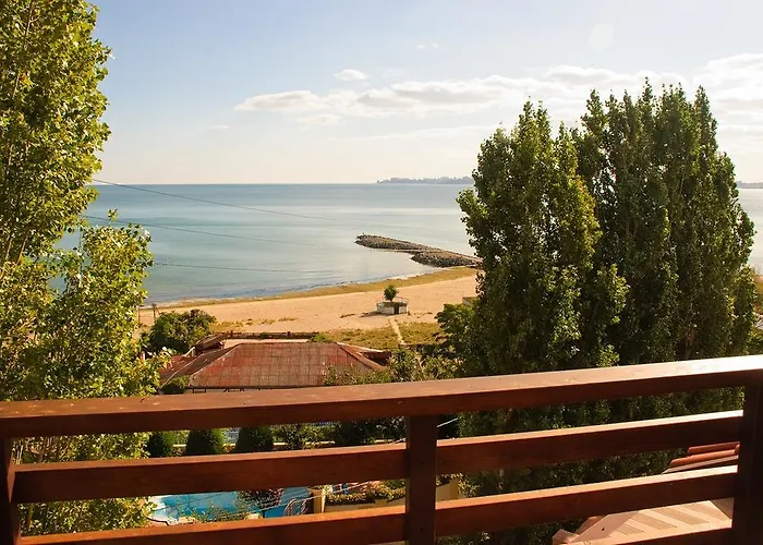 Albizia Одесса